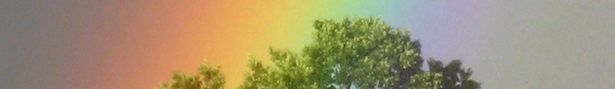 Naturschutz Brandenburg: Regenbogen und Baum
